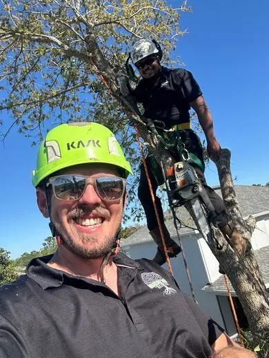 Crew working safely up in a tree