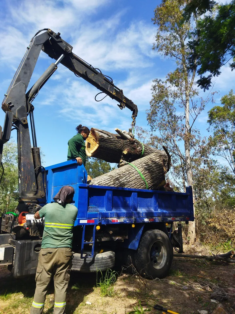 Crane-loading a large log